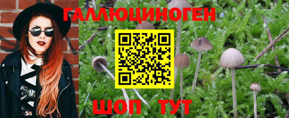 дарнет шоп  Вход с VPN  Псков  Галлюциногенные грибы Magic Shrooms 