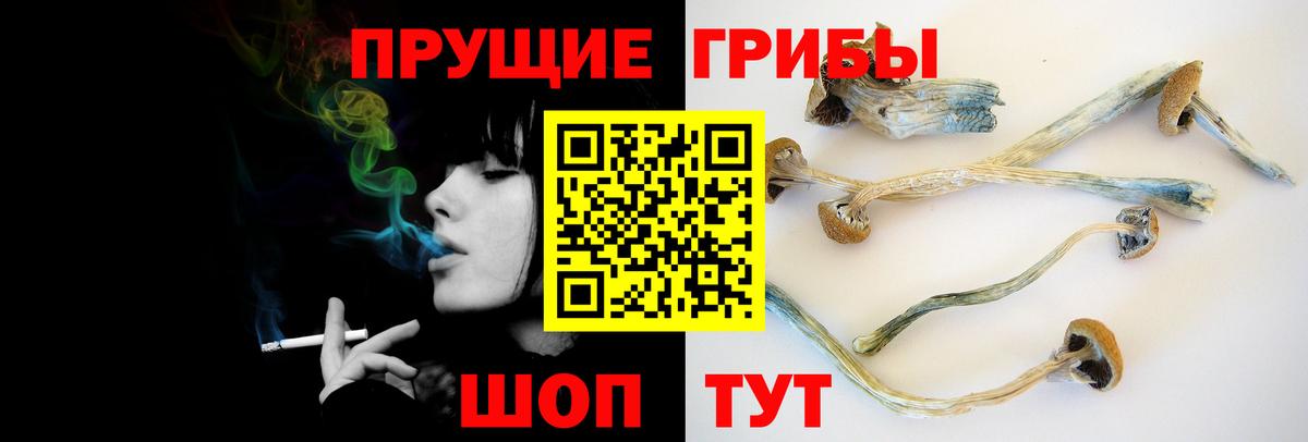 Галлюциногенные грибы ЛСД Псков